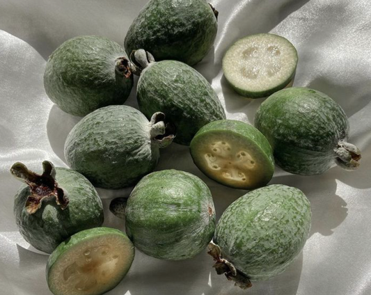 Feijoa - Candle